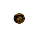 Botão de Costura Tartaruga 18mm 4 Furos - 50 Unidades